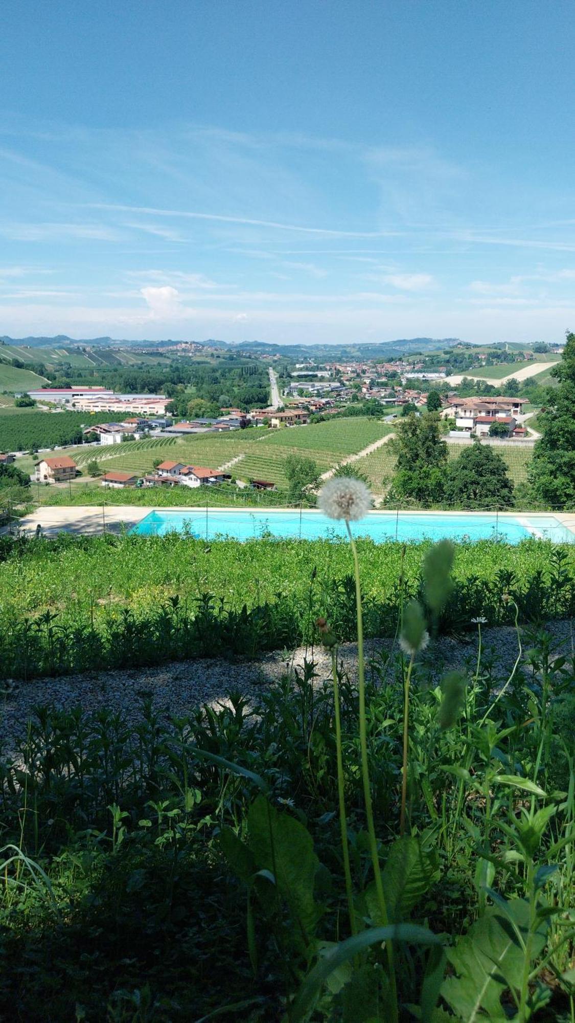Tenuta Montanello B&B Castiglione Falletto Exterior foto