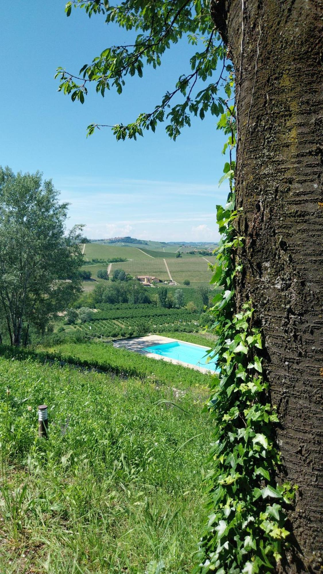 Tenuta Montanello B&B Castiglione Falletto Exterior foto